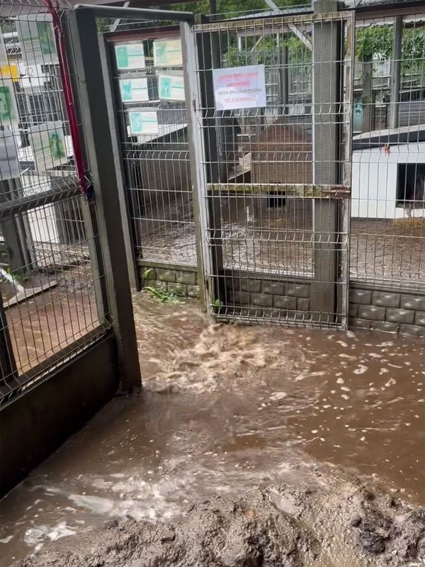 Überschwemmung in Konin